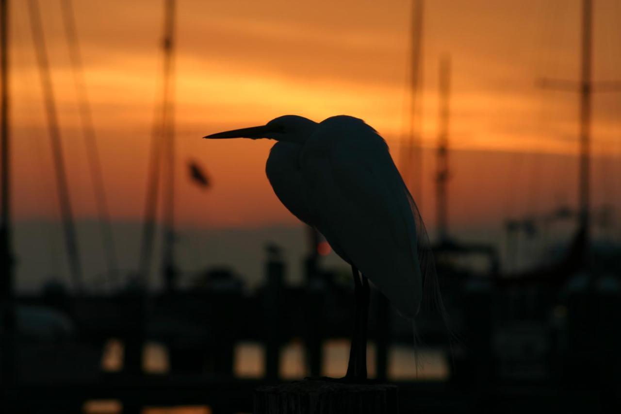 Whooping Crane Manor B & B Rockport Exterior foto